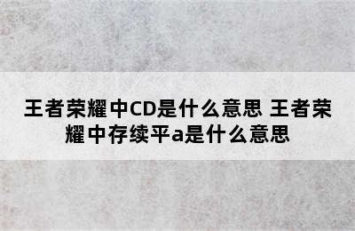 王者荣耀中CD是什么意思 王者荣耀中存续平a是什么意思